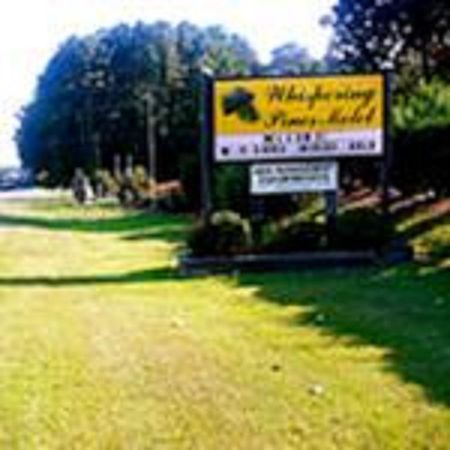 The Whispering Pines Motel- Whitestone White Stone Esterno foto