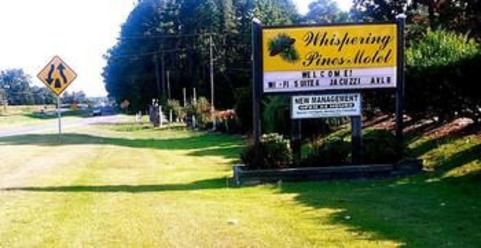 The Whispering Pines Motel- Whitestone White Stone Esterno foto